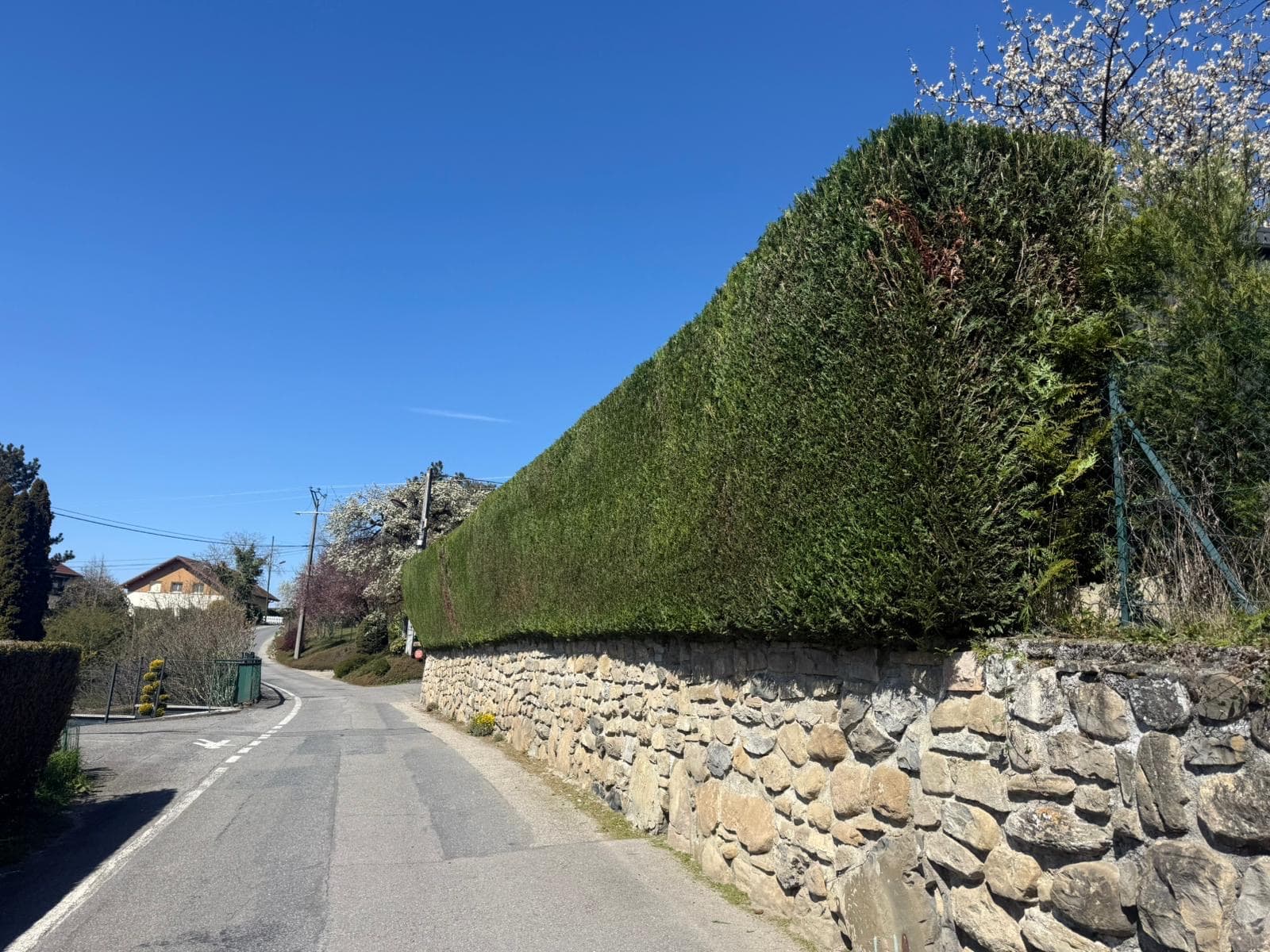 Chantier d'élagage Extrême élagage à Annemasse