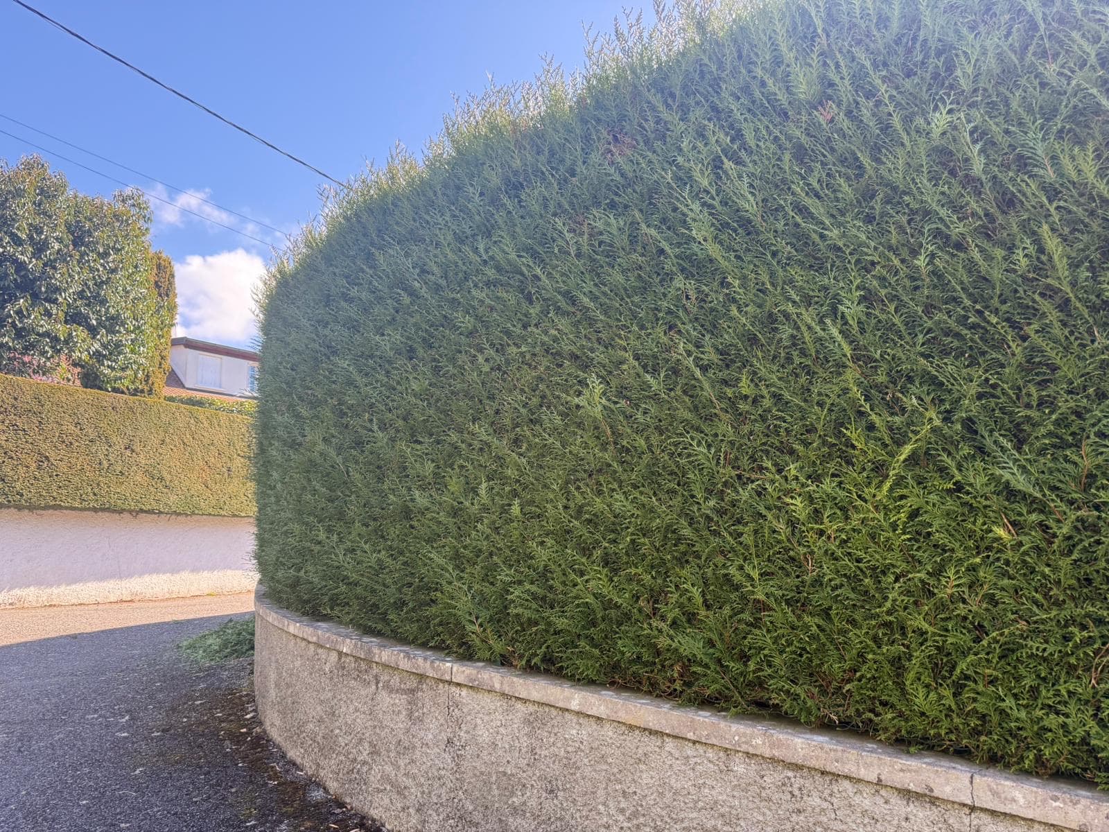 Chantier d'élagage Extrême élagage à Annemasse