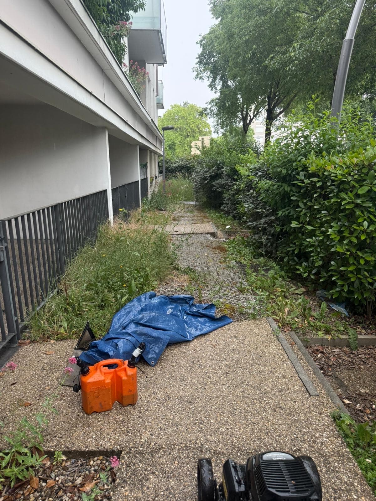 Chantier d'élagage Extrême élagage à Annemasse