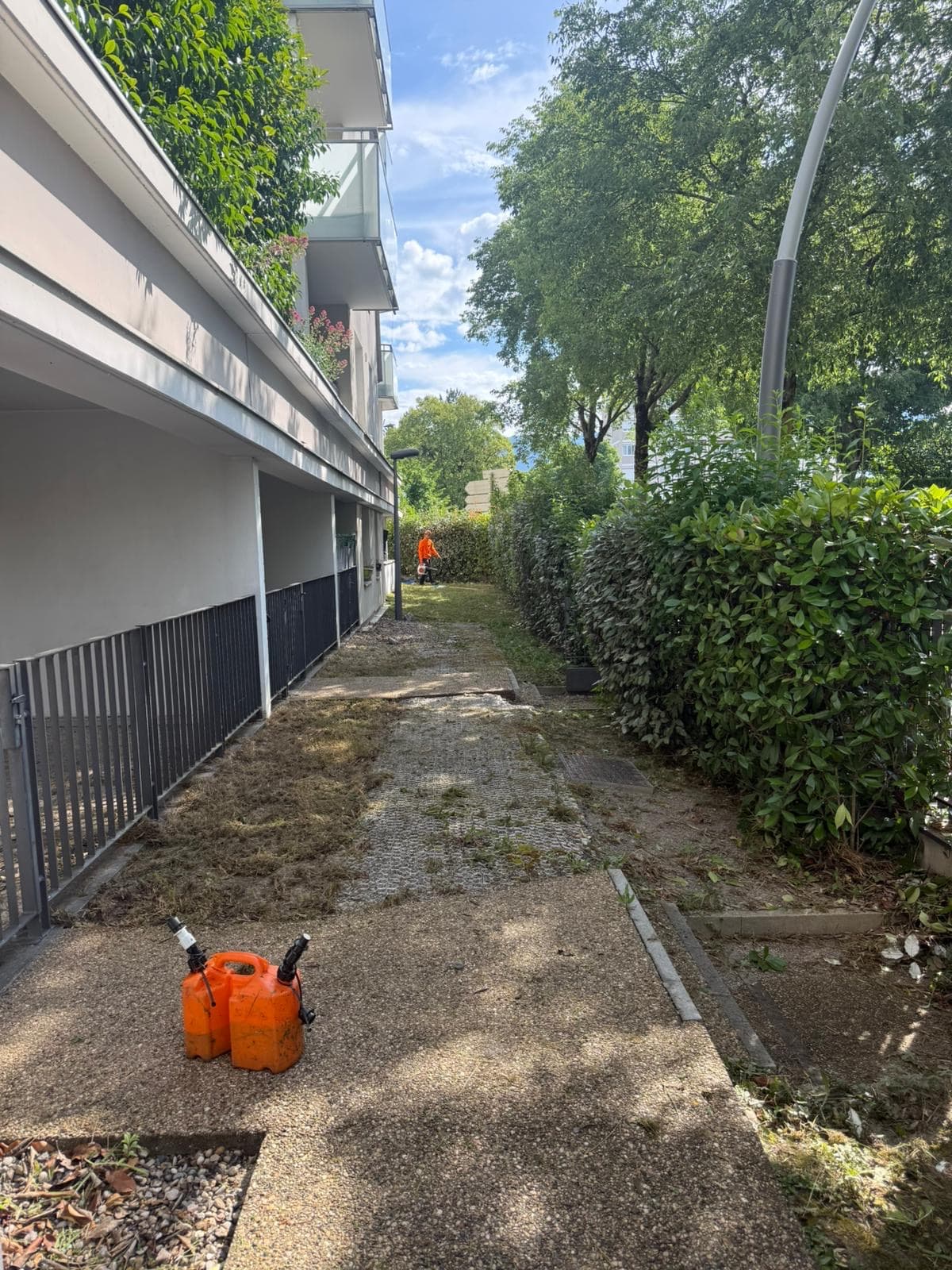 Chantier d'élagage Extrême élagage à Annemasse