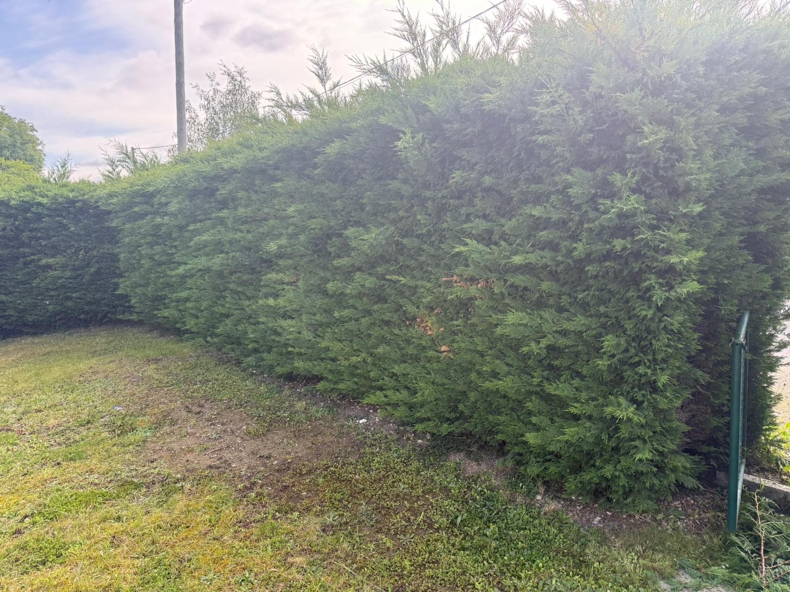 Chantier d'élagage Extrême élagage à Annemasse