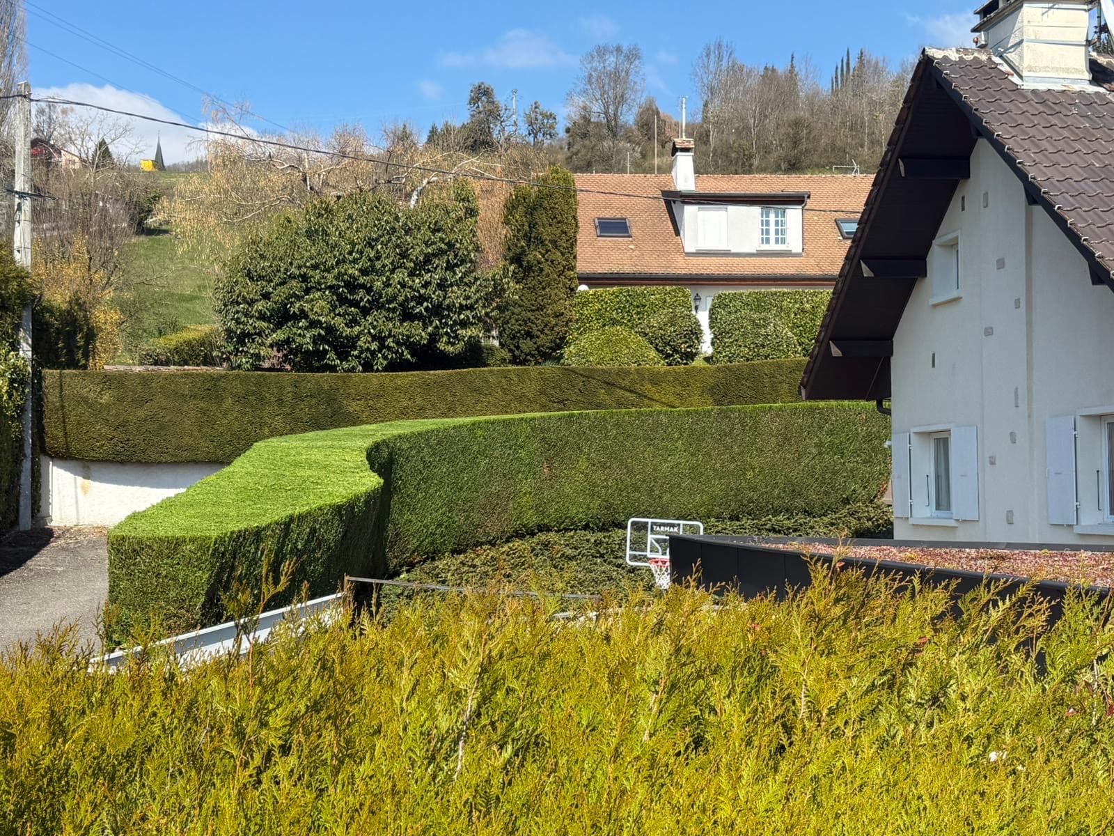 Chantier d'élagage Extrême élagage à Annemasse