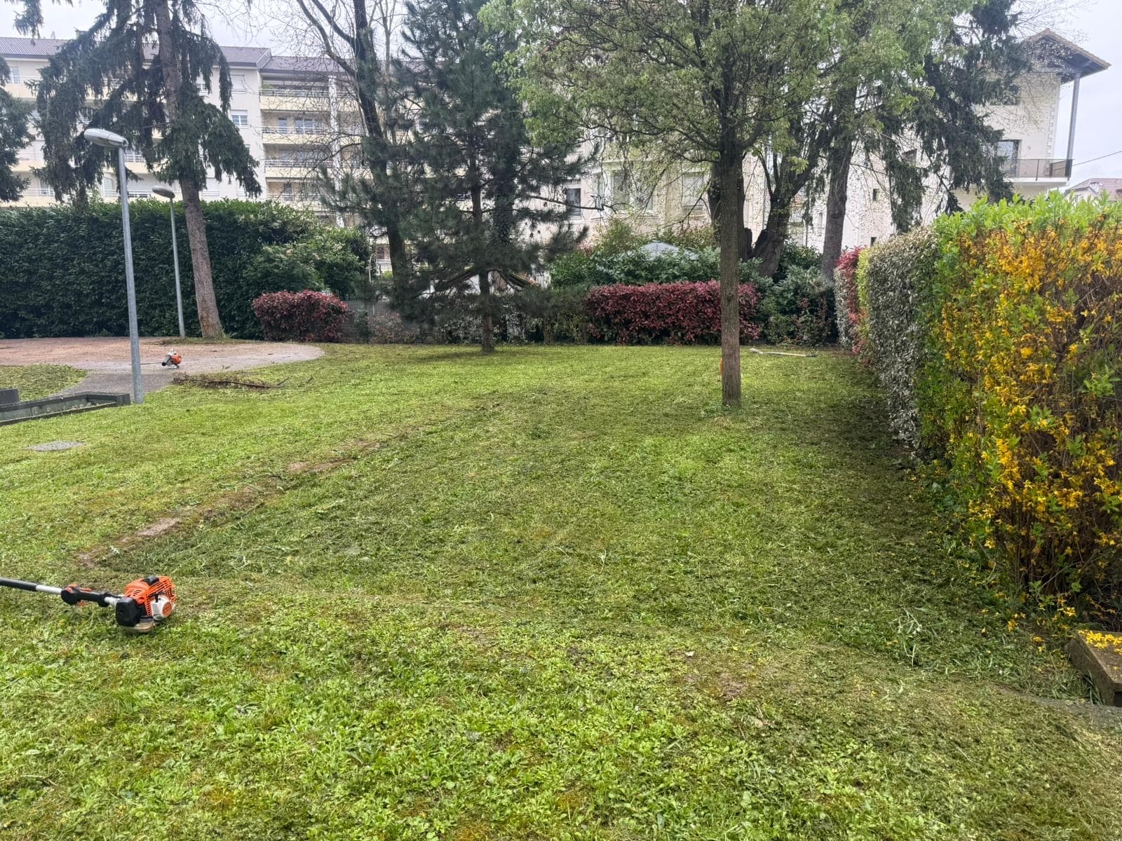 Chantier d'élagage Extrême élagage à Annemasse